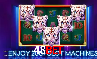 Explorando a Categoria de Eventos em Apostas na 48BET